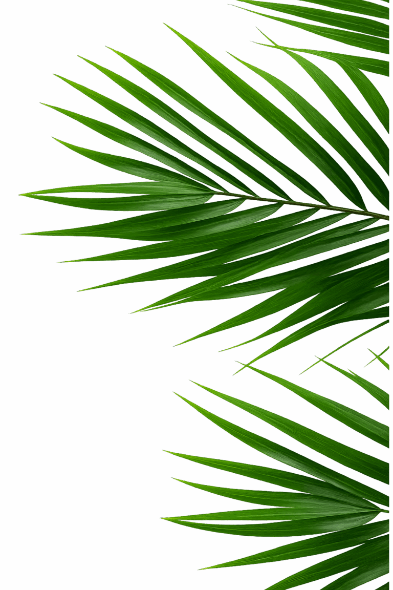 ChatGPT Image Jul 15 2025 11 58 46 AM